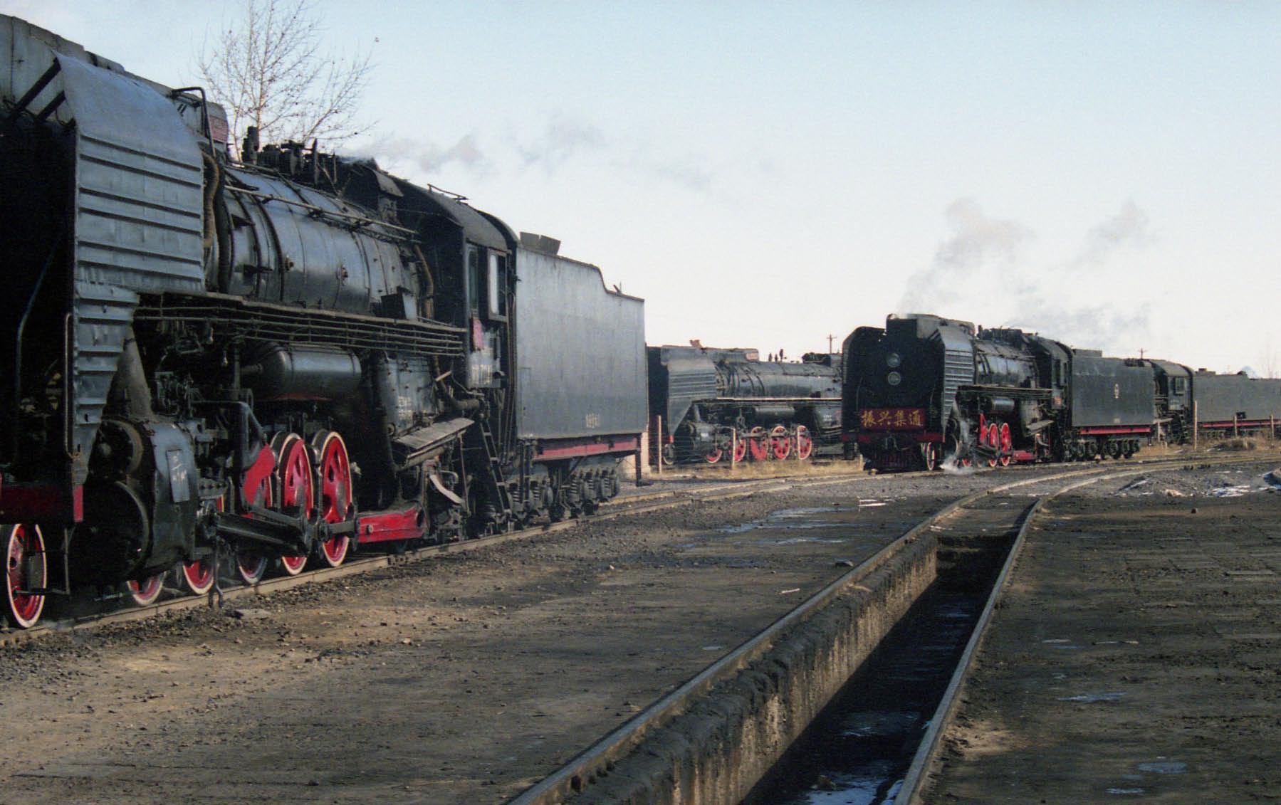 QJs outside Daban shed